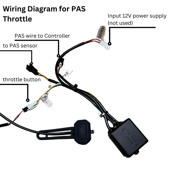 E-Bike PAS Speed Limiter for Fast E-Bikes